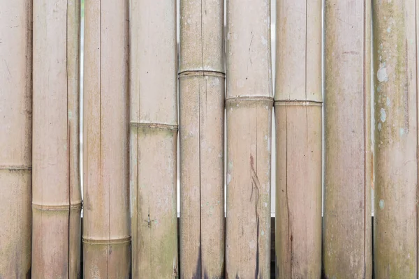 Brown dried bamboo sticks pattern background full frame view — 스톡 사진