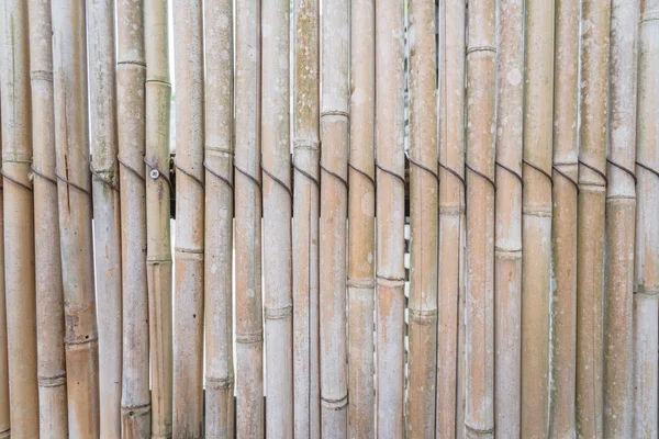 Mur traditionnel en bambou fabriqué à partir de bâtons de bambou bio à Singapour — Photo