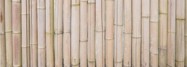 Panoramic brown dried bamboo sticks pattern background full frame view