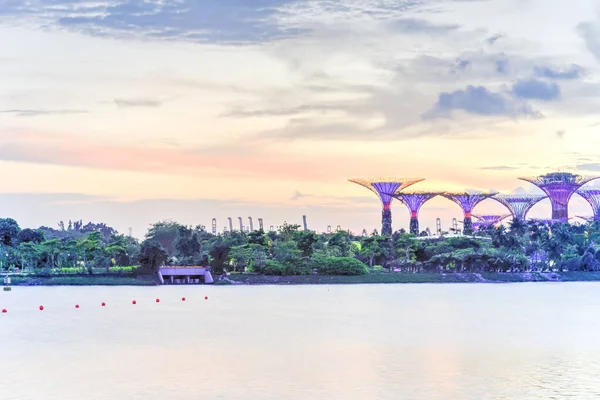 Supertree grove at Garden by the bay in Singapore illuminated at dusk — 스톡 사진