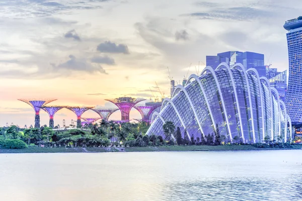 Supertree grove at Garden by the bay in Singapore illuminated at dusk — 스톡 사진