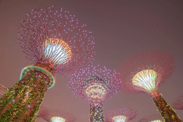 Vista ad angolo basso di Super albero artificiale illuminato di notte a Singapore — Foto Stock