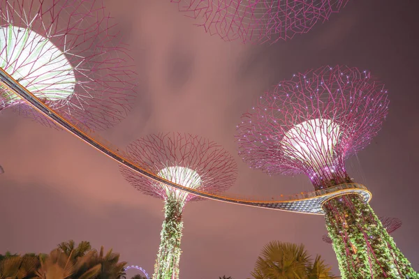 Skyway y Super árbol artificial iluminado por la noche en Singapore Garden by the bay —  Fotos de Stock