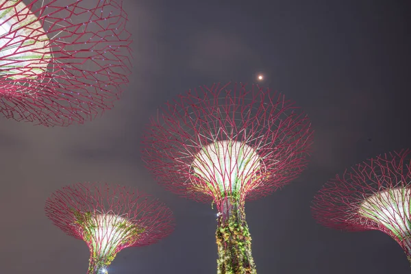 Низкий угол обзора искусственного супердерева, освещенного ночью в Сингапуре — стоковое фото