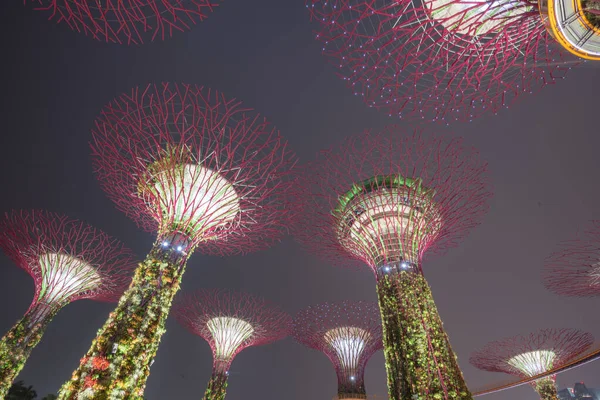 Vista de bajo ángulo del Super árbol artificial iluminado por la noche en Singapur —  Fotos de Stock
