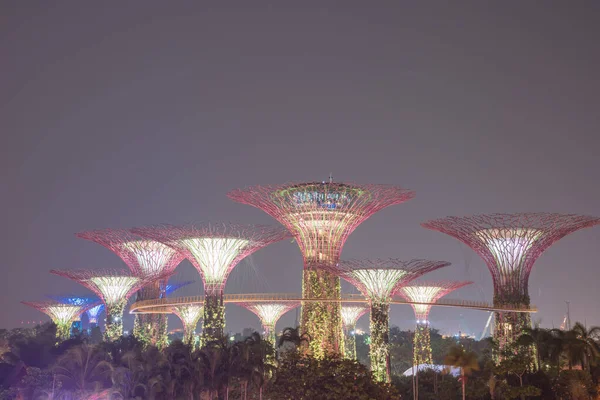 Top of artificial Super tree illuminated at night at Singapore Garden by the bay — 스톡 사진