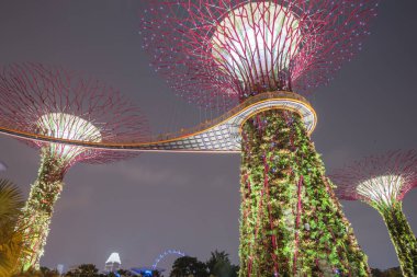 Gökyüzü yolu ve yapay süper ağaç gece körfez kıyısındaki Singapur Bahçesi 'nde aydınlandı.