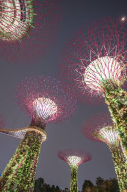 Gökyüzü yolu ve yapay süper ağaç gece körfez kıyısındaki Singapur Bahçesi 'nde aydınlandı.