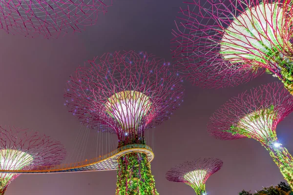 Skyway e artificial Super árvore iluminada à noite no Jardim de Singapura pela baía — Fotografia de Stock
