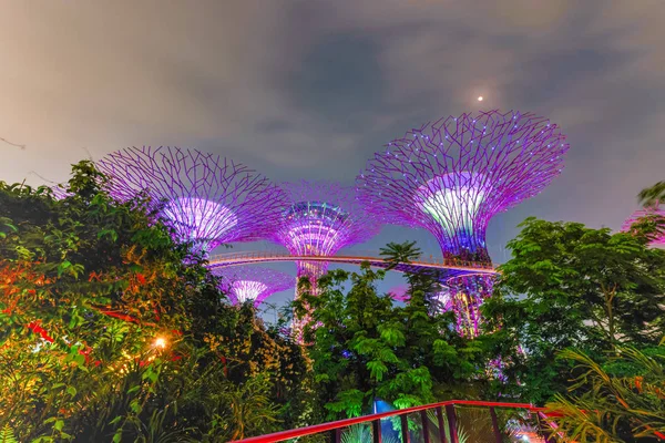 Tropical natural trees and artificial Super tree illuminated at night at Garden by the bay — 스톡 사진