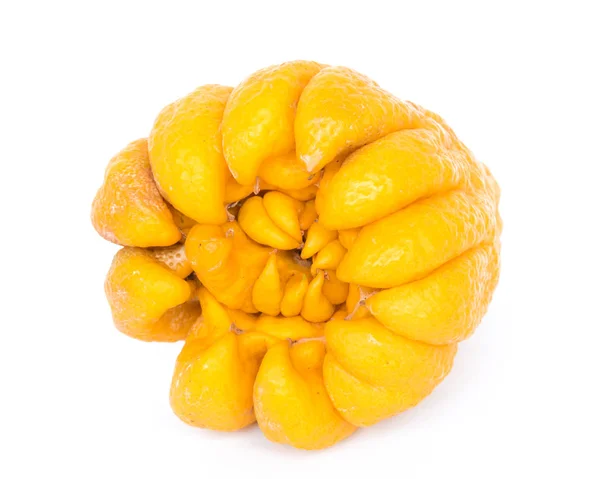 Studio shot single bright yellow Fingered Citron Buddha Hand citrus isolated on white — Stock Photo, Image