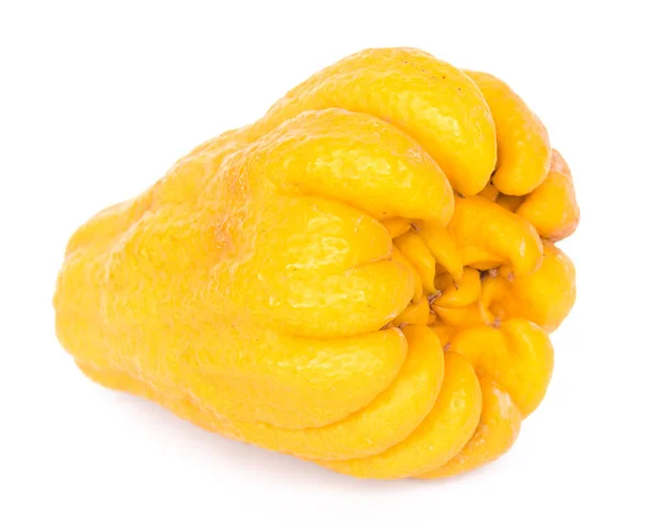 Studio shot single bright yellow Fingered Citron Buddha Hand citrus isolated on white — Stock Photo, Image