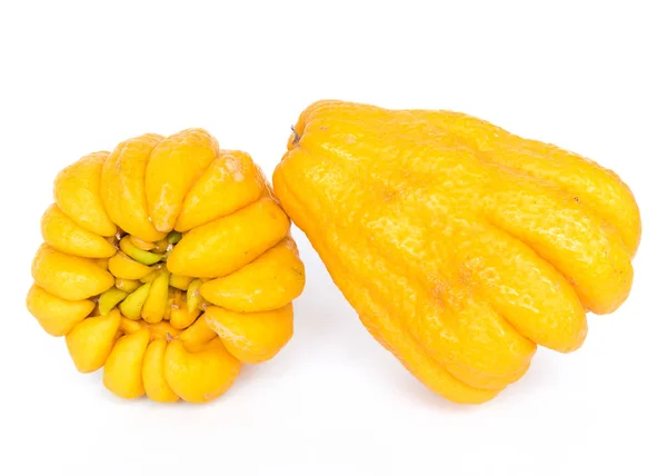 Studio shot two bright yellow Fingered Citron Buddha Hand citrus isolated on white — Stock Photo, Image