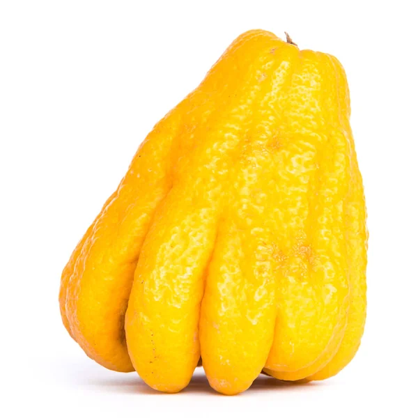 Studio sköt enda ljus gul Fingered Citron Buddha Hand citrus isolerad på vit — Stockfoto