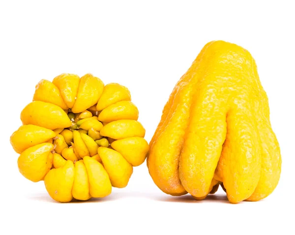 Studioaufnahme zweier leuchtend gelb gefingerter Zitronen-Buddha-Hand Zitrusfrüchte isoliert auf Weiß — Stockfoto