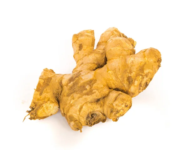 Studio shot organic homegrown single ginger root isolated on white — ストック写真