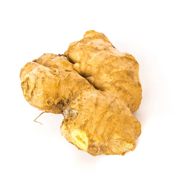 Studio shot organic homegrown single ginger root isolated on white — Stock Photo, Image