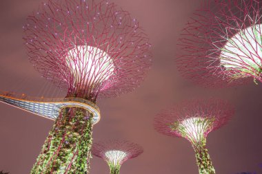 Gökyüzü yolu ve yapay süper ağaç gece körfez kıyısındaki Singapur Bahçesi 'nde aydınlandı.