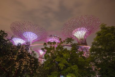 Tropik doğal ağaçlar ve yapay süper ağaç geceleyin körfezin yanındaki Garden 'da aydınlandı.