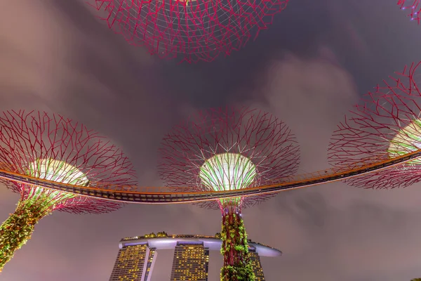 Skyway und künstlicher Superbaum nachts im Singapore-Garten an der Bucht beleuchtet — Stockfoto