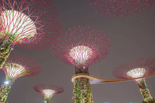 Skyway und künstlicher Superbaum nachts im Singapore-Garten an der Bucht beleuchtet — Stockfoto