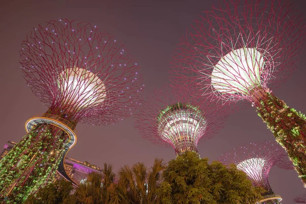 Vista de bajo ángulo del Super árbol artificial iluminado por la noche en Singapur —  Fotos de Stock