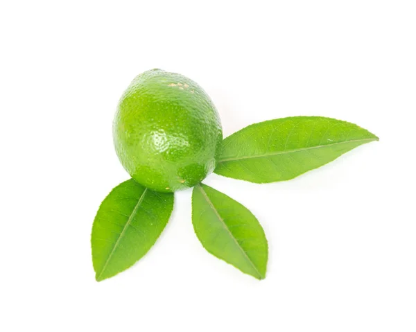 Studio shot single Asian green lime with leaves isolated on white — Stock Photo, Image