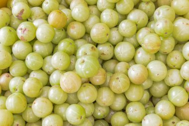 Olgun organik Hint bektaşi üzümleri arka plan manzarası