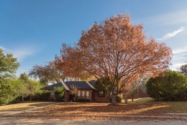 Dallas 'ın banliyölerindeki tek katlı bungalov evleri. Parlak sonbahar yeşillikleri var.