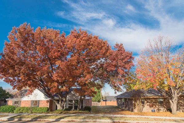 Casas de bungalow de una sola planta en los suburbios de Dallas con colores de follaje de otoño brillantes — Foto de Stock