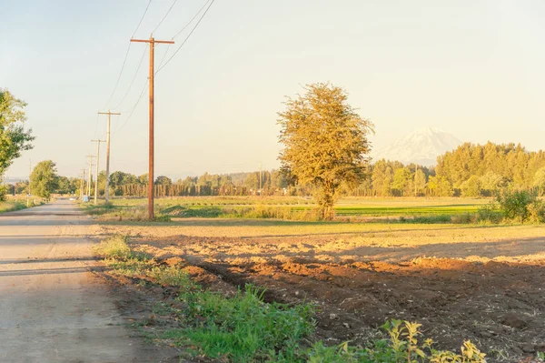 Kent Washington Amerika Kar Kaplı Tarım Arazisi Mesafe Arkaplanı Rainier — Stok fotoğraf