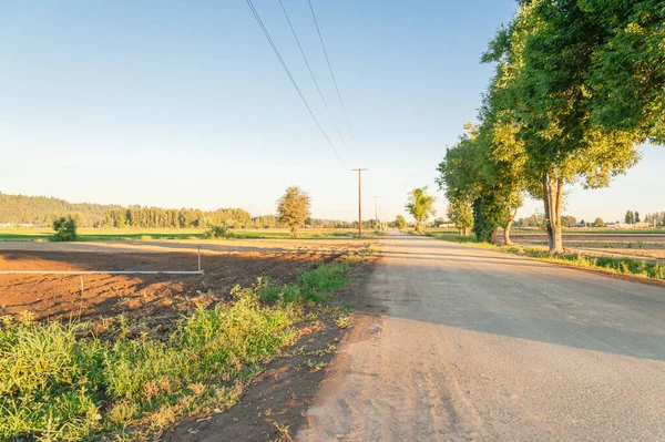 Kent Washington Amerika Günbatımında Sulama Sistemiyle Tarım Olgunlaşmış Ağaç Ahşap — Stok fotoğraf