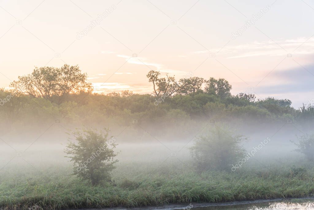 Wet land misty morning landscape at nature trail near Dallas, Texas, America. Summer foggy landscape with sunrise warm light backlit behind woody tree lush. Natural background.