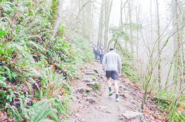Amerika 'nın başkenti Washington' da Poo Poo Point Chirico Patikası 'nda yürüyüş yapan kıç manzaralı yürüyüşçü. Bereketli orman dağ manzarasında sisli patika