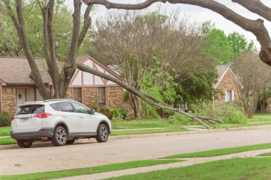 Dallas, Teksas, Amerika yakınlarında park etmiş arabalı ve devrilmiş ağaç dallı bir yerleşim yeri. Olgunlaşmış akçaağaç Bungalov evinin ön bahçesinde bloke edilmiş, küçük dallar temizlenmek için kesiliyor.