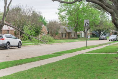 Dallas, Teksas, Amerika yakınlarında park etmiş arabalı ve devrilmiş ağaç dallı bir yerleşim yeri. Olgunlaşmış akçaağaç Bungalov evinin ön bahçesinde bloke edilmiş, küçük dallar temizlenmek için kesiliyor.