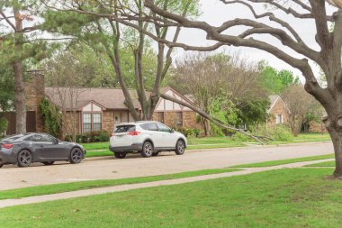 Dallas, Teksas, Amerika yakınlarında park etmiş arabalı ve devrilmiş ağaç dallı bir yerleşim yeri. Olgunlaşmış akçaağaç Bungalov evinin ön bahçesinde bloke edilmiş, küçük dallar temizlenmek için kesiliyor.