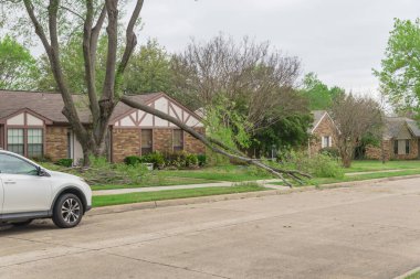 Dallas, Teksas, Amerika yakınlarında park etmiş arabalı ve devrilmiş ağaç dallı bir yerleşim yeri. Olgunlaşmış akçaağaç Bungalov evinin ön bahçesinde bloke edilmiş, küçük dallar temizlenmek için kesiliyor.
