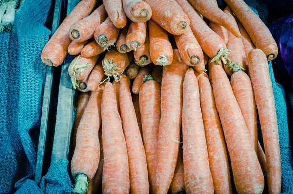 Red Cabbages Carrots Farmer Market Washington America Pile Organic Vegetables — Stock Photo, Image