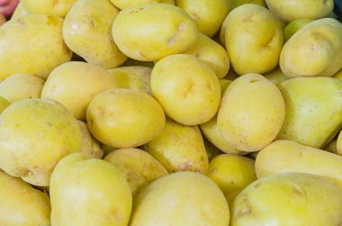 Organik sarı patatesler tam çerçeve görünümlü tüp ekinleri arka plan