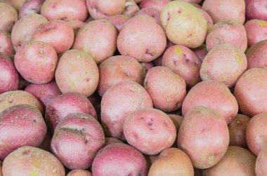 Organik kırmızı patatesler tam çerçeve görünümlü tüp ekinleri arka planı