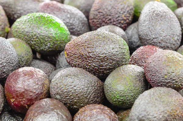 Bunch of ripe and green mini avocados in the farmer market in Puyallup, Washington, USA Royalty Free Stock Photos