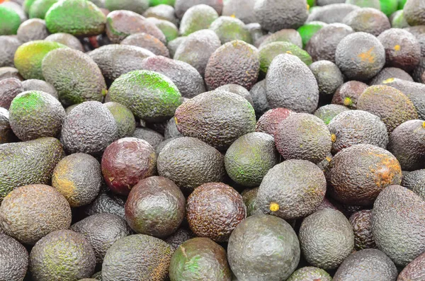 Bunch of ripe and green mini avocados in the farmer market in Puyallup, Washington, USA Royalty Free Stock Images