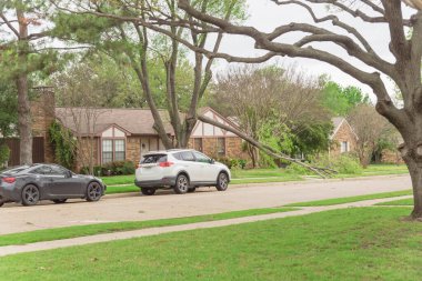 Dallas, Teksas, Amerika yakınlarında park etmiş arabası ve devrilmiş ağaç dalı olan banliyö caddesi.