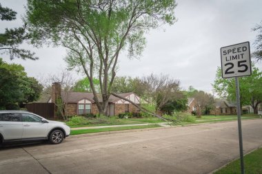 Hız limiti olan bir yerleşim yeri, park edilmiş arabalar ve Dallas, Teksas, ABD yakınlarında devrilmiş bir ağaç dalı.