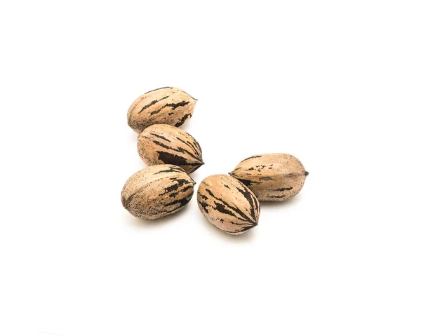 Studio girato mucchio di noci di pecan crude organiche in guscio isolato su bianco — Foto Stock