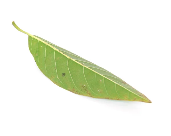 Manzana verde con natillas tropicales o hoja de dulzor aislada en blanco —  Fotos de Stock