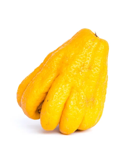 Studio shot single bright yellow Fingered Citron Buddha Hand citrus isolated on white — Stock Photo, Image