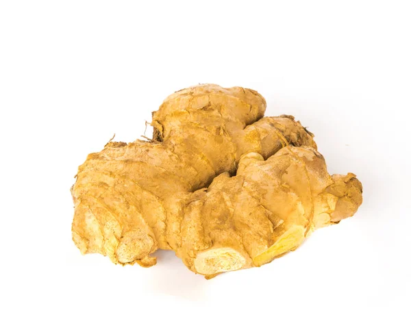 Studio shot organic homegrown single ginger root isolated on white — Stock Photo, Image