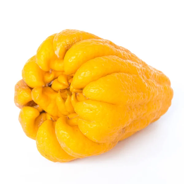 Studio sköt enda ljus gul Fingered Citron Buddha Hand citrus isolerad på vit — Stockfoto